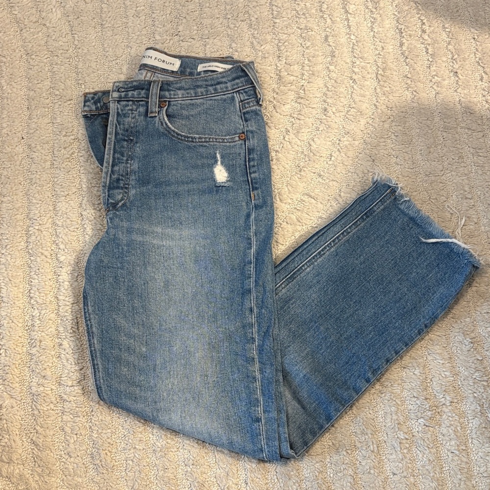 Aritzia Denim Forum Arlo Blue Distressed Jeans